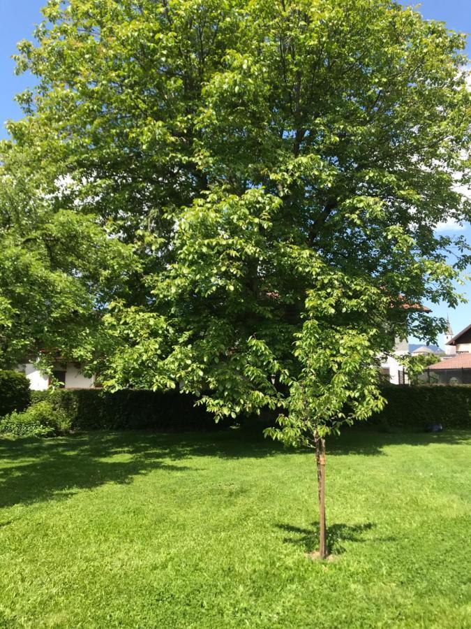 Villa Nussbaum Golling an der Salzach Buitenkant foto
