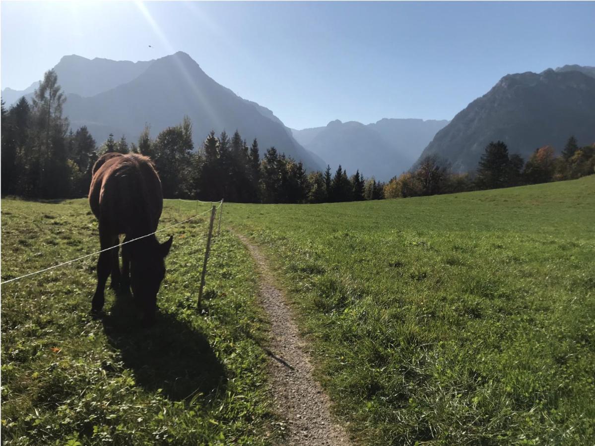 Villa Nussbaum Golling an der Salzach Buitenkant foto